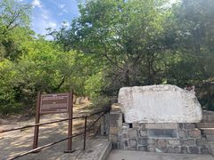 -北京十三陵国家森林公园蟒山景区