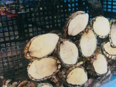 -臻悦海宴.家宴(奥体中心店)
