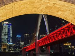 -李子坝梁山鸡(李子坝大鸡哥店)