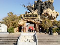 -大槐树寻根祭祖园