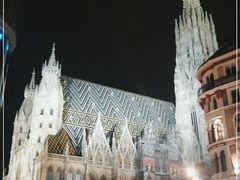 -斯蒂芬主教座堂(Stephansdom)