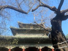 -正定古城-开元寺