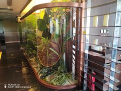 -鱼翅楼·津派砂锅鱼翅(水上公园店)