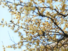 -南通博物苑-崇川人民公园