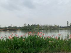 -白鹭湾湿地公园