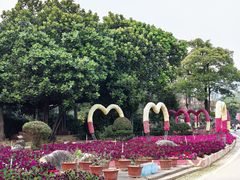 -松山湖梦幻百花洲