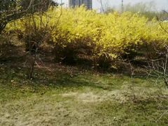 -长春公园(普阳街道)