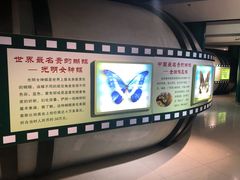 -上海昆虫博物馆