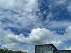 -安飞驰驾校·学车连锁(金高店)
