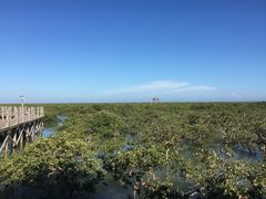 -北海金海湾红树林生态旅游区