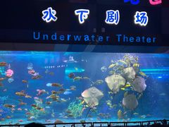 -泉城欧乐堡海洋极地世界