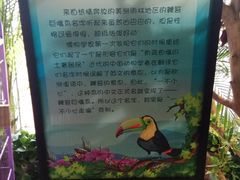 -萌宠奇缘
