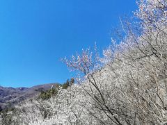 -北京凤凰岭