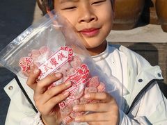 -苏州市吴中区光福窑上花果蜜饯厂