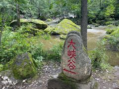 -茅兰沟国家森林公园