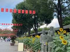 -仙岳公园