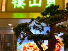 -米桃-吴韵风雅·拙园(北外滩来福士店)