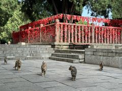 -四门塔风景区