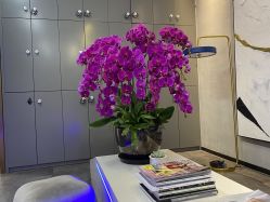 -SEBASTIAN塞巴斯汀