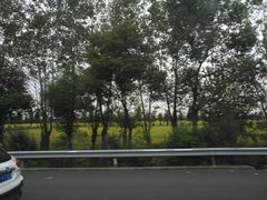 -锦江中华村农家乐饭庄