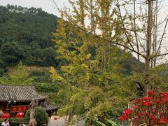 -楠柏弯休闲山庄(梨花溪店)