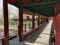 -赵州桥景区