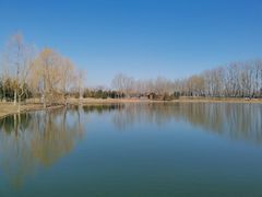 -东郊湿地公园