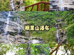 -海南霸王岭国家森林公园