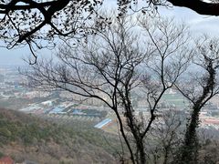 -惠山国家森林公园