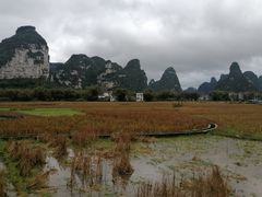 -明仕田园