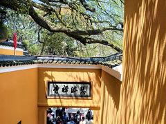 -普陀山慧济禅寺