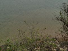 -羚羊峡古栈道森林公园