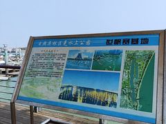 -日照世帆赛基地