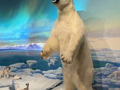 -米屋石锅拌饭(师大店)