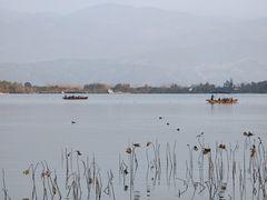 -西昌邛海湿地