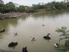 -艾溪湖湿地公园