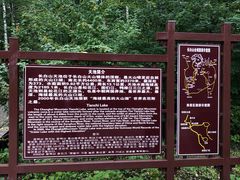 -长白山万达国际度假区