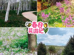 -哈尔滨北方森林动物园