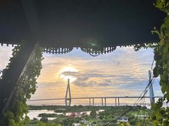-芒洲湿地公园