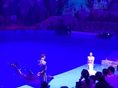 -芜湖新华联大白鲸海洋公园