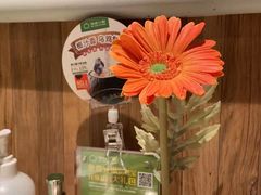 -汤城小厨•粤菜•靓汤(西直门凯德MALL店)