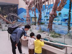 -陕西自然博物馆