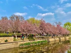 -元大都城垣遗址公园