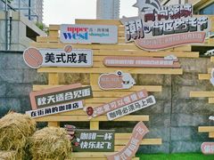 -高·尚领域