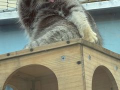 -青藏高原野生动物园