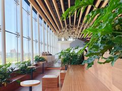 -Seesaw Coffee(朝阳大悦城店)