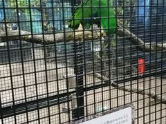 -山东省科技馆(新馆)