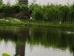 -西海子公园