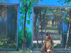 -西安秦岭野生动物园