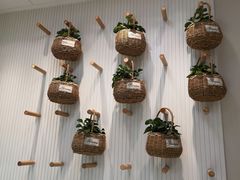-project coffee普络捷(鹭洲里店)